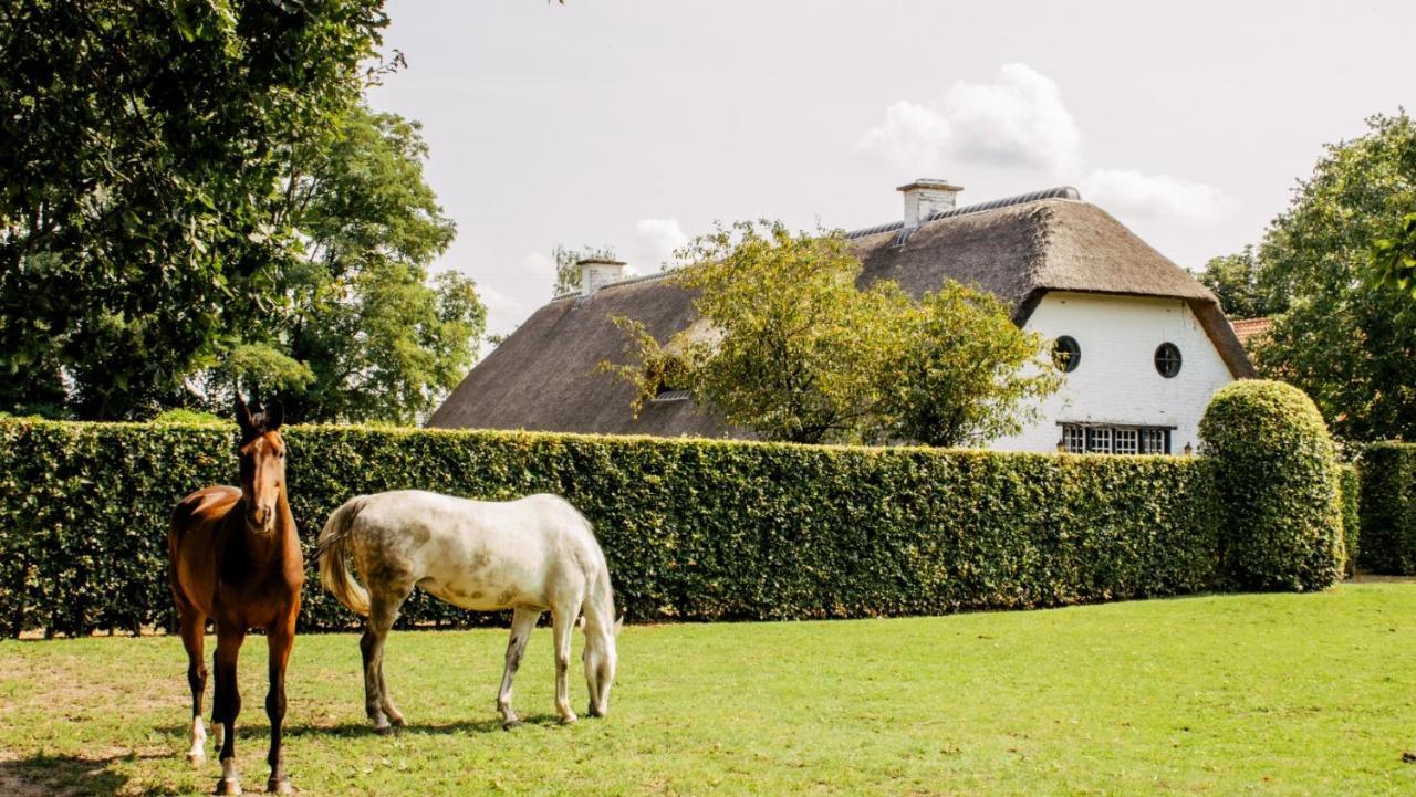 Truyenhof Bed & Breakfast Bree Exterior photo